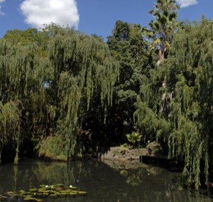 Die Oog van Kuruman