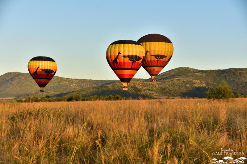 Hot Air Balloon Safari