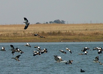 One of the Best Birding Spots