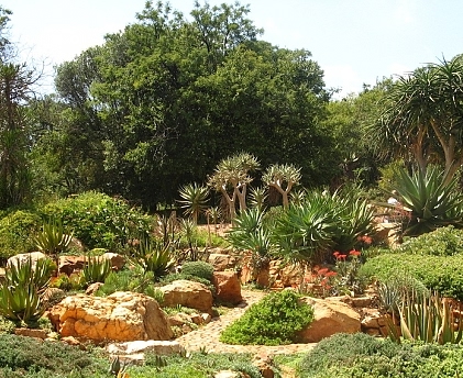 The Great Johannesburg Outdoors