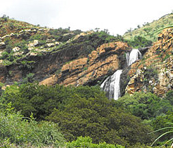 Walter Sisulu National Botanical Garden Highly Ranked