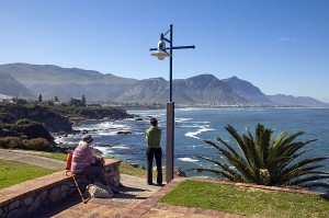 Whale Watching in Hermanus