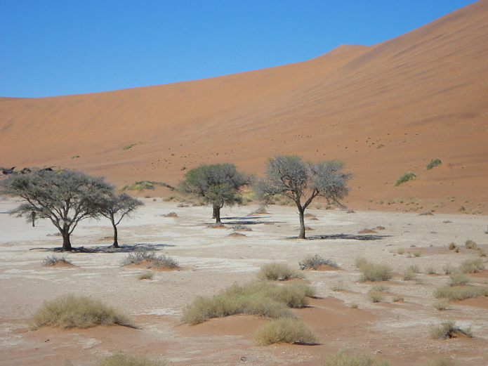 Sossusvlei