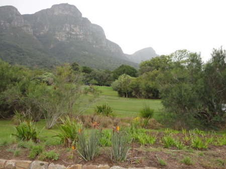 Kirstenbosch 