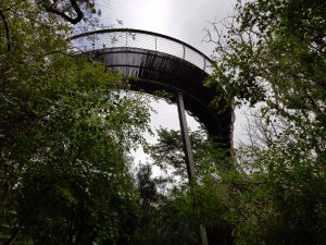 ‘The Boomslang‘ Walkway