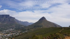 Lions Head