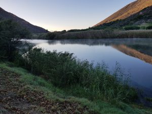 Breede River at Skurwekop Campsite