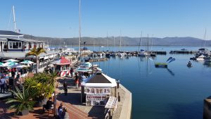 Knysna Harbour