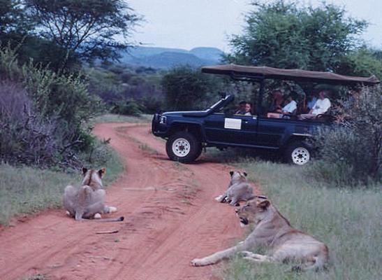 North West Travel Guide