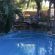 Swiming Pool