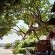 Under Milkwood