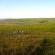 Riding in the fynbos mountains