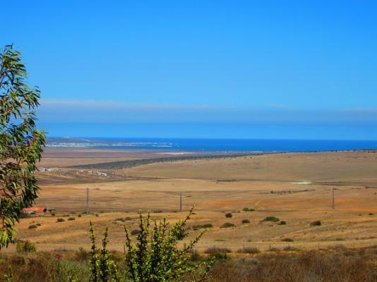 Summer view
