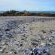 Shell strewn beaches