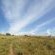 Farm view