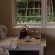 Little House