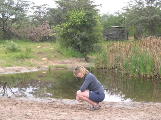 Shakati waterhole