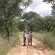 Own walks are allowed