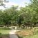 The lush garden