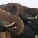 Ulusaba Private Game Reserve