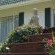The Pecan Tree Guesthouse