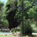 The Pecan Tree Guesthouse