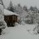 Snow in July