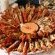Prawns