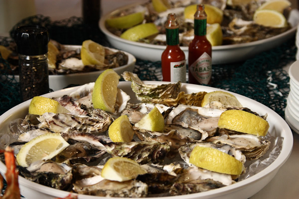 Oysters