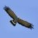 Breede River Lodge