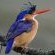 Breede River Lodge