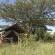 Individual tented rooms