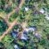 Mosetlha Bush Camp and Eco Lodge