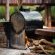 Mosetlha Bush Camp and Eco Lodge