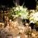 De Hoek Country Hotel