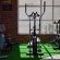 Gym - Fitness