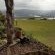 View from room 2