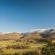 The Farm