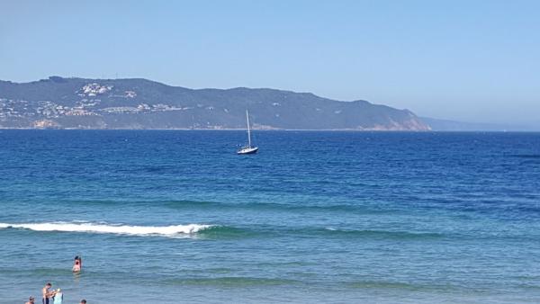 Buffalo Bay