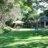 The Safari Club SA