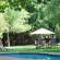 The Safari Club SA