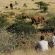 Damaraland Camp