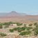Desert Rhino Camp