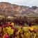 Galenia Estate