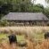 Chitabe Lediba Camp