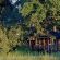 Jacana Camp