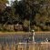 Jacana Camp
