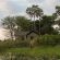 Jacana Camp