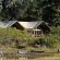 Tubu Tree Camp