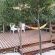 Noy Noy TiPi Deck